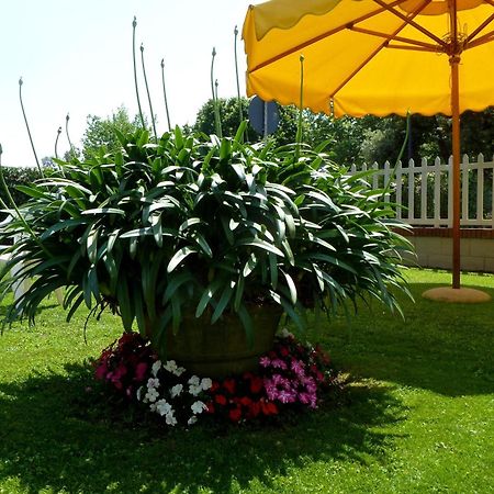 Hotel Versilia Lido di Camaiore Zewnętrze zdjęcie