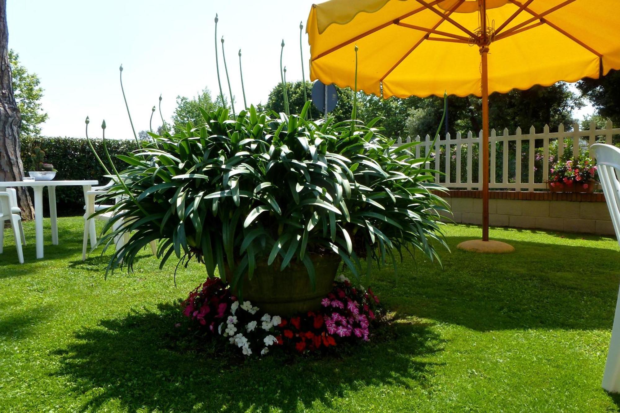 Hotel Versilia Lido di Camaiore Zewnętrze zdjęcie