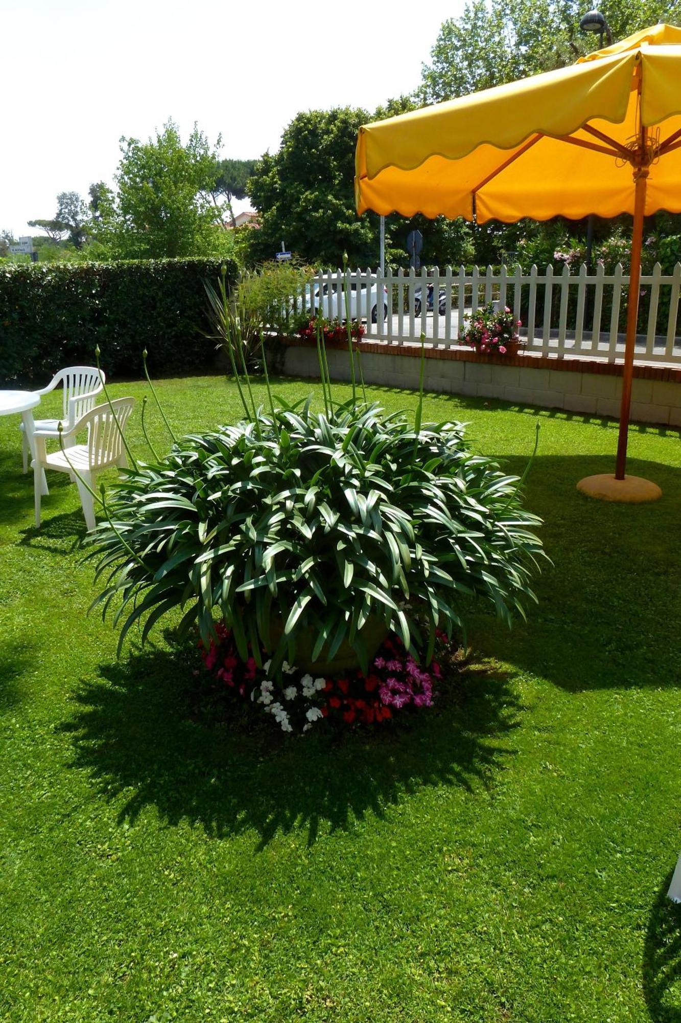 Hotel Versilia Lido di Camaiore Zewnętrze zdjęcie