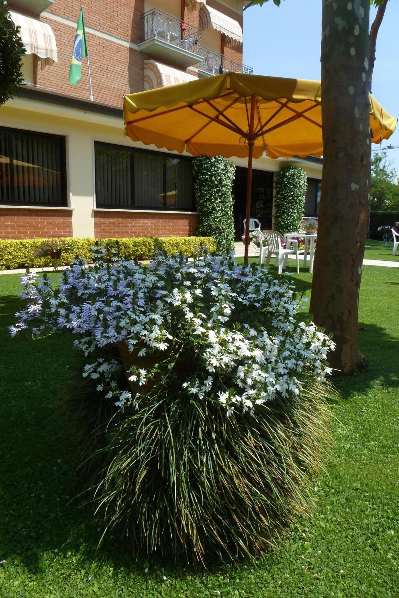 Hotel Versilia Lido di Camaiore Zewnętrze zdjęcie