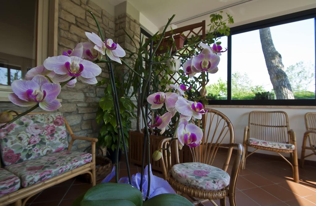 Hotel Versilia Lido di Camaiore Zewnętrze zdjęcie